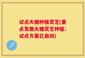 试点大棚种植灵芝(重点发展大棚灵芝种植：试点方案已启动)