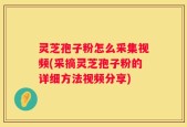 灵芝孢子粉怎么采集视频(采摘灵芝孢子粉的详细方法视频分享)