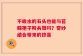 不吸水的石头也能与苔藓孢子粉共舞吗？奇妙结合带来的惊喜