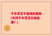 千年灵芝不值钱的原因(为何千年灵芝价格低廉？)