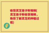 收获灵芝孢子粉视频(灵芝孢子粉收获视频，助你了解灵芝的种植过程)