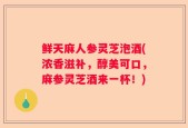 鲜天麻人参灵芝泡酒(浓香滋补，醇美可口，麻参灵芝酒来一杯！)