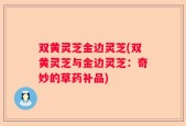双黄灵芝金边灵芝(双黄灵芝与金边灵芝：奇妙的草药补品)