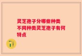 灵芝孢子分哪些种类 不同种类灵芝孢子有何特点