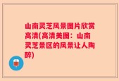 山南灵芝风景图片欣赏高清(高清美图：山南灵芝景区的风景让人陶醉)