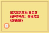 玉灵芝灵芝杖(玉灵芝的神奇功效：探秘灵芝杖的秘密)