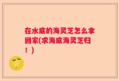 在水底的海灵芝怎么拿回家(求海底海灵芝归！)