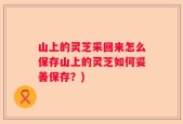 山上的灵芝采回来怎么保存山上的灵芝如何妥善保存？)