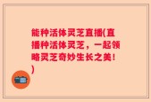 能种活体灵芝直播(直播种活体灵芝，一起领略灵芝奇妙生长之美！)