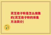 灵芝孢子粉是怎么搜集的(灵芝孢子粉的采集方法简介)