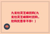 九龙柱灵芝峰团购(九龙柱灵芝峰限时团购，抢购优惠享不停！)