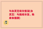 与白灵芝缘分很深(白灵芝：与我缘分深，助身体强健)