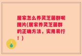 居家怎么养灵芝菌群呢图片(居家养灵芝菌群的正确方法，实用易行！)