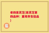 老四紫灵芝(紫灵芝第四品种：重现养生佳品)