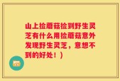 山上捡蘑菇捡到野生灵芝有什么用捡蘑菇意外发现野生灵芝，意想不到的好处！)