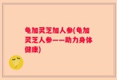 龟加灵芝加人参(龟加灵芝人参——助力身体健康)