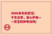 3000多年的灵芝(千年古草，凝心护身——灵芝的神奇功效)