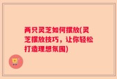 两只灵芝如何摆放(灵芝摆放技巧，让你轻松打造理想氛围)