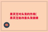 黑灵芝对头发的作用(黑灵芝能改善头发健康