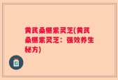 黄芪桑椹紫灵芝(黄芪桑椹紫灵芝：强效养生秘方)