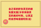 自己采的野生灵芝的朋友圈文案(分享采摘灵芝的美好时刻，让真正的自然味道回归生活)
