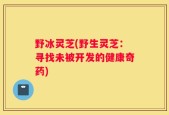 野冰灵芝(野生灵芝：寻找未被开发的健康奇药)