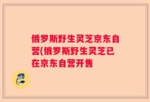 俄罗斯野生灵芝京东自营(俄罗斯野生灵芝已在京东自营开售