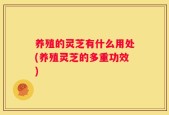 养殖的灵芝有什么用处(养殖灵芝的多重功效)