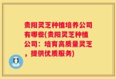 贵阳灵芝种植培养公司有哪些(贵阳灵芝种植公司：培育高质量灵芝，提供优质服务)