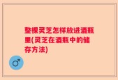 整棵灵芝怎样放进酒瓶里(灵芝在酒瓶中的储存方法)