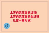 太岁肉灵芝生长过程(太岁肉灵芝生长全过程，让你一睹为快)