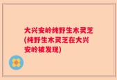 大兴安岭纯野生木灵芝(纯野生木灵芝在大兴安岭被发现)