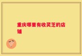 重庆哪里有收灵芝的店铺