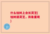 什么枯树上会长灵芝(枯树遇灵芝，异象重现)