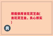 厚度很厚青花灵芝盘(青花灵芝盘，良心厚实)