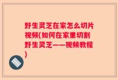 野生灵芝在家怎么切片视频(如何在家里切割野生灵芝——视频教程)