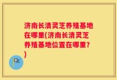 济南长清灵芝养殖基地在哪里(济南长清灵芝养殖基地位置在哪里？)