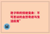孢子粉的惊艳变身：不可思议的自然奇迹与生活应用”