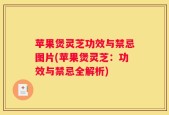 苹果煲灵芝功效与禁忌图片(苹果煲灵芝：功效与禁忌全解析)