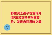 野生灵芝孢子粉宣传片(野生灵芝孢子粉宣传片：发现自然原味之美
