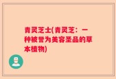 青灵芝士(青灵芝：一种被誉为美容圣品的草本植物)
