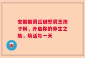 安徽徽灵岳破壁灵芝孢子粉，开启你的养生之旅，焕活每一天