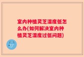 室内种植灵芝湿度低怎么办(如何解决室内种植灵芝湿度过低问题)