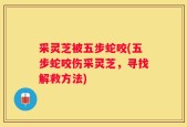 采灵芝被五步蛇咬(五步蛇咬伤采灵芝，寻找解救方法)