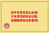 问千年灵芝怎么长成(千年灵芝的生长过程、关键因素和注意事项)