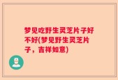 梦见吃野生灵芝片子好不好(梦见野生灵芝片子，吉祥如意)