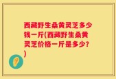 西藏野生桑黄灵芝多少钱一斤(西藏野生桑黄灵芝价格一斤是多少？)