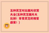 五种灵芝对比图片欣赏大全(五种灵芝图片大比拼！享受灵芝的视觉盛宴！)