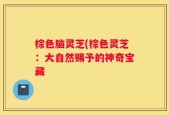棕色脑灵芝(棕色灵芝：大自然赐予的神奇宝藏