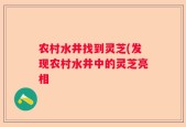 农村水井找到灵芝(发现农村水井中的灵芝亮相